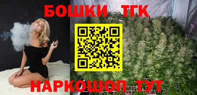 гашик Кандалакша